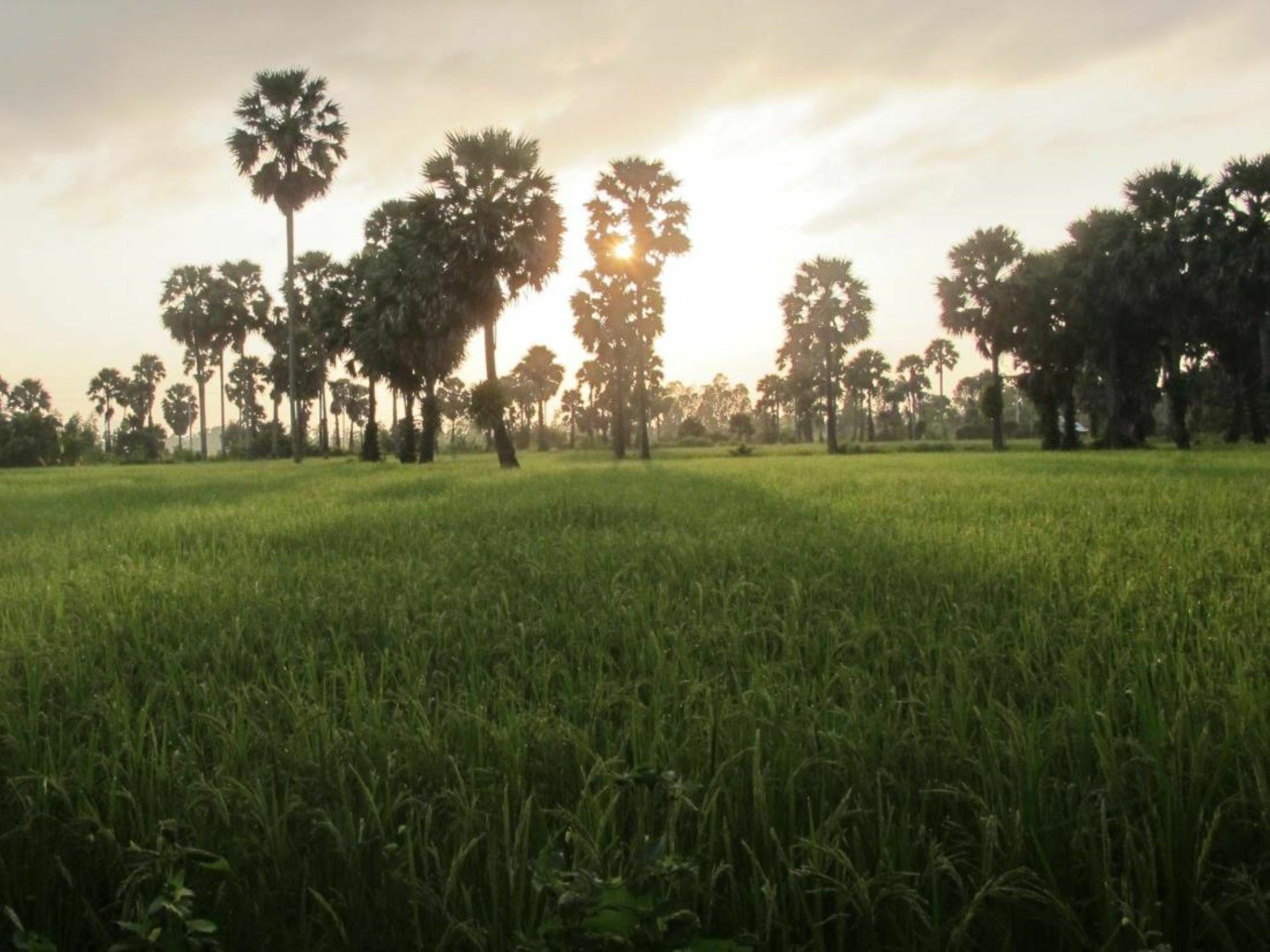 Champa Lodge Kampot Eksteriør bilde